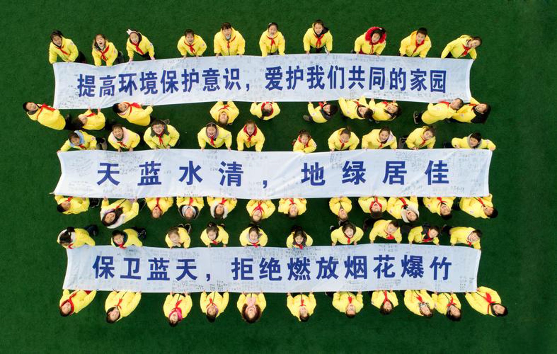 佳正花卉苗木